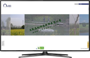 松江網(wǎng)站建設(shè) 如何打造引人入勝的商品圖相冊提升用戶體驗