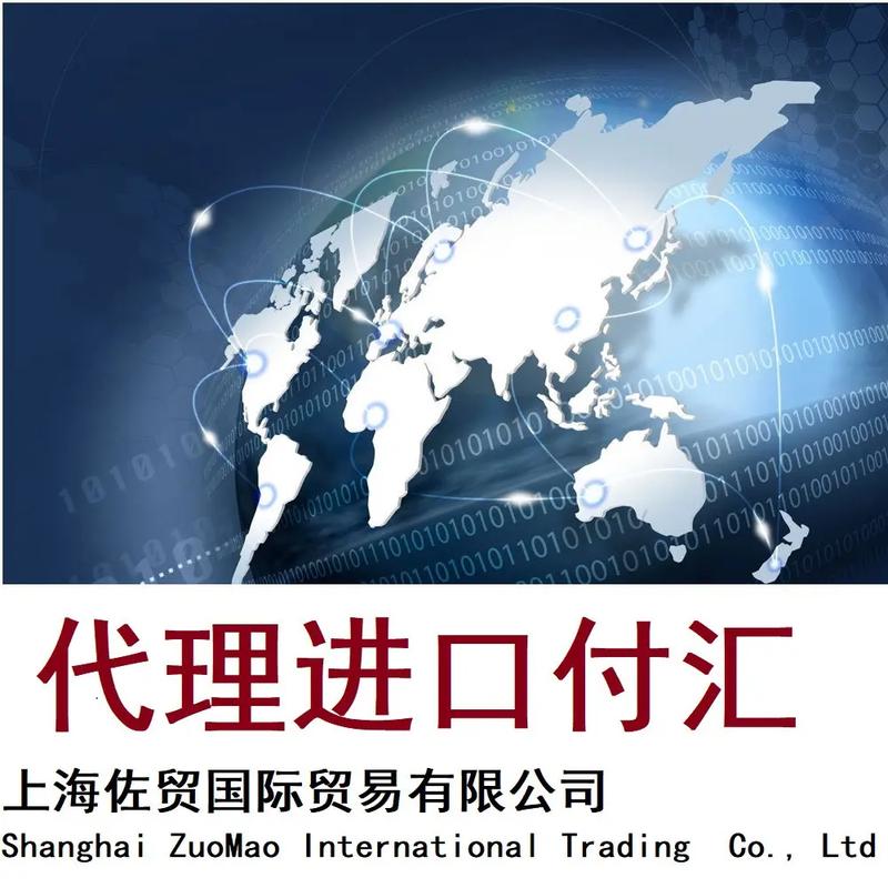 上海代理進(jìn)出口服務(wù) 全方位海運(yùn)與空運(yùn)貿(mào)易代理解決方案